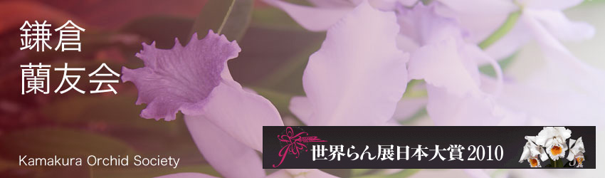 鎌倉蘭友会