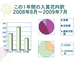 入賞花内訳２